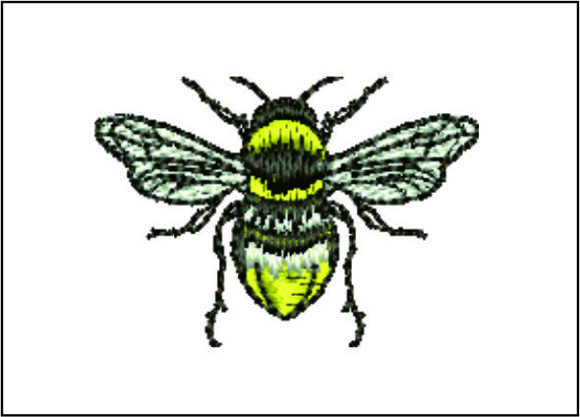 Bee Detailed: A Seasonal Embroidery Review